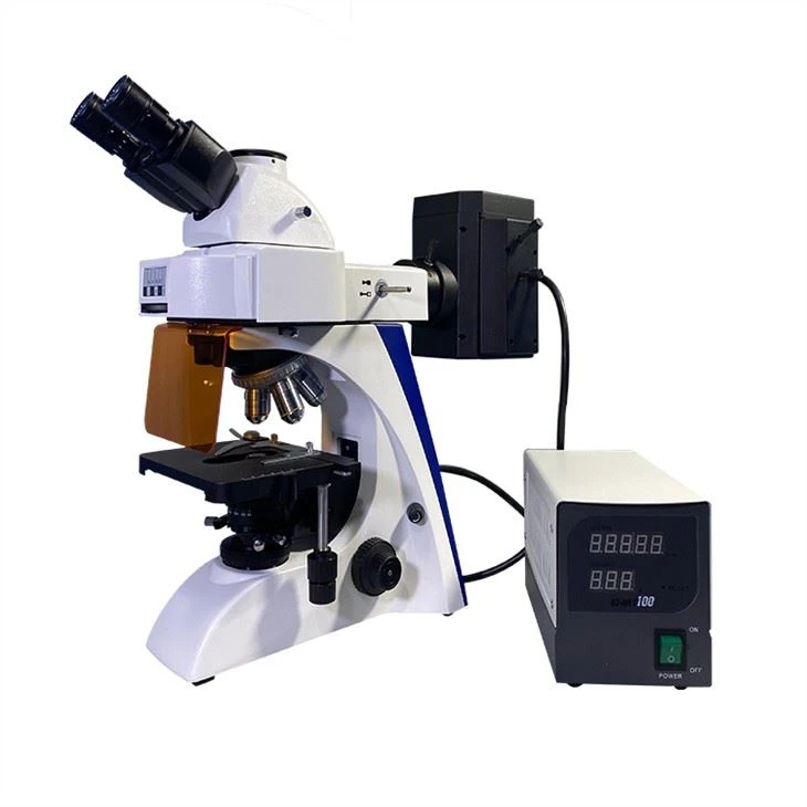 Trinocular upright fluorescent biological microscope for sale